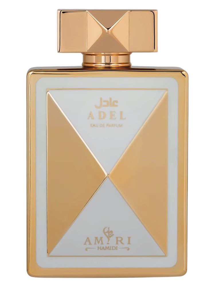 Amiri by Hamidi Adel