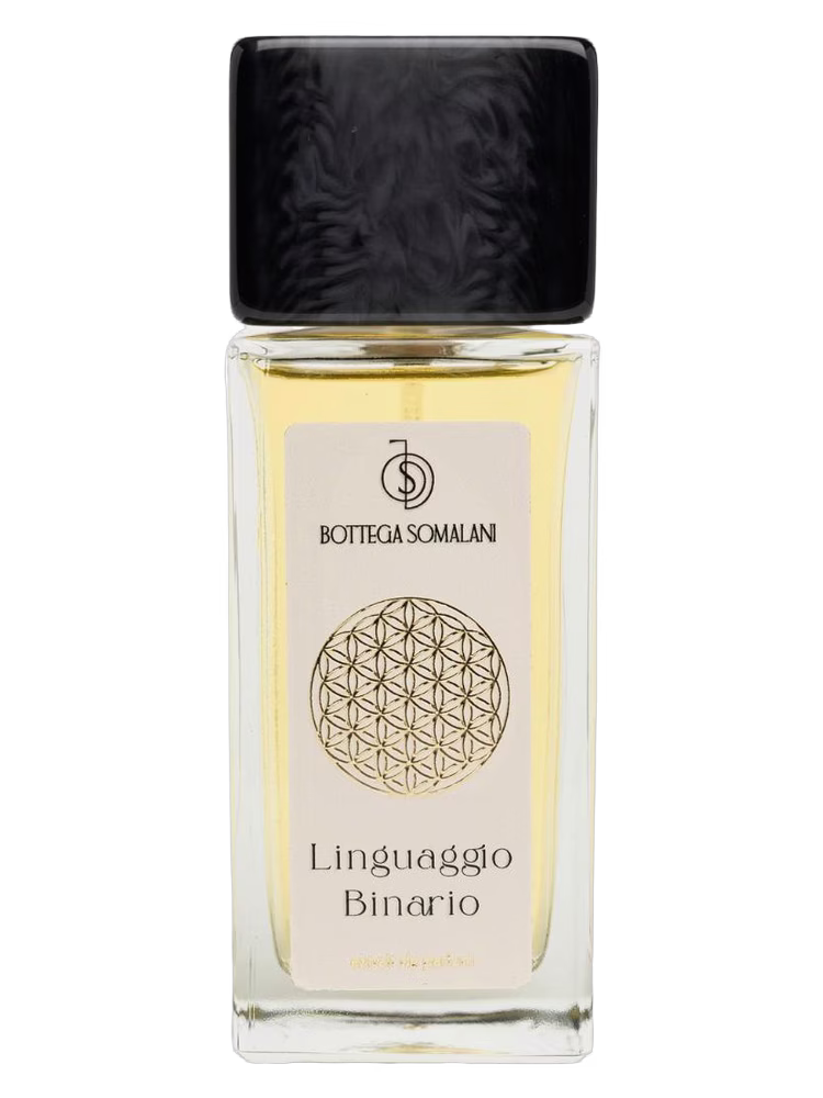 Bottega Somalani Linguaggio Binario