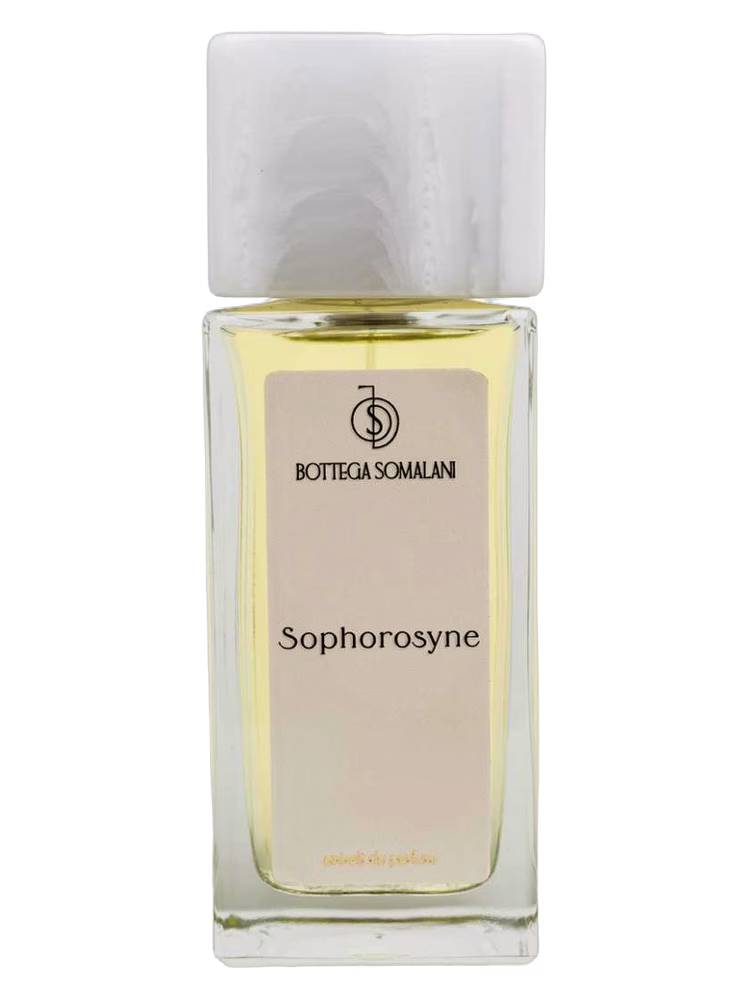 Bottega Somalani Sophorosyne