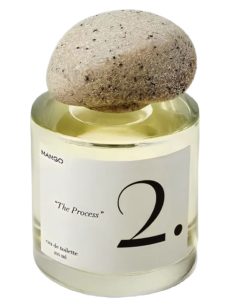 Mango 2. The Process