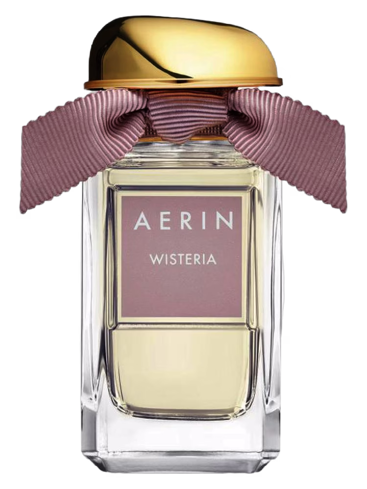 Aerin Wisteria