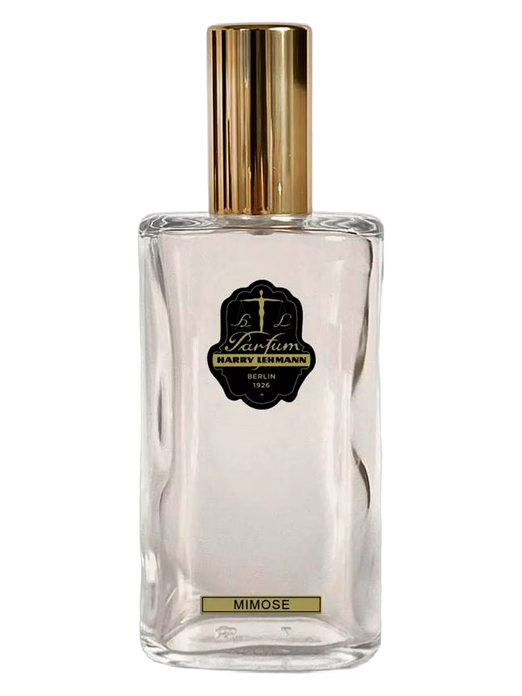 HARRY LEHMANN Mimose