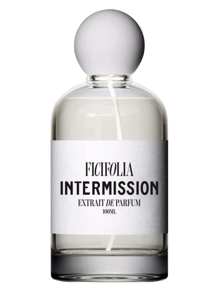 Ficifolia Fragrances Intermission