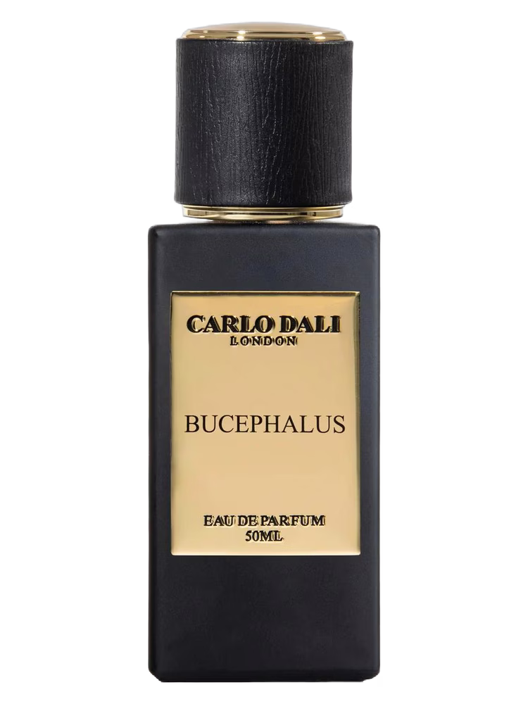 Carlo Dali Bucephalus