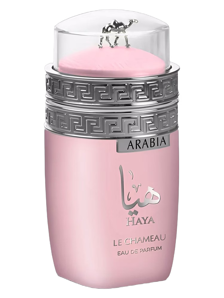 Le Chameau Arabia Haya