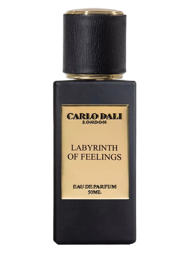 Carlo Dali Labyrinth of feelings