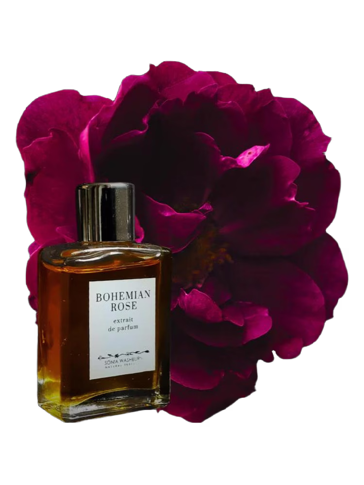 Sonia Washburn Bohemian Rose