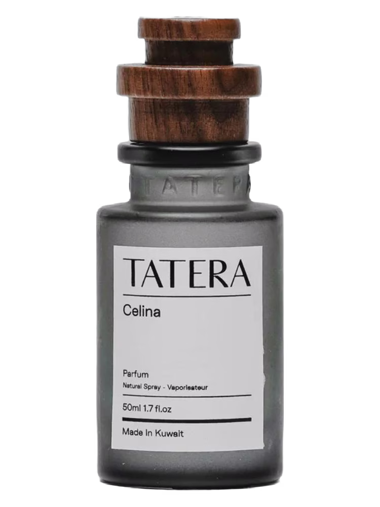 Tatera Cilena