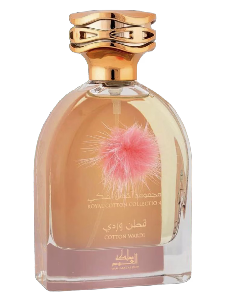 Mamlakat Al Oud Cotton Wardi Royal