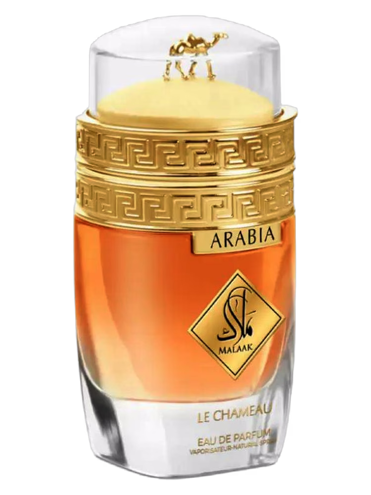 Le Chameau Arabia Malaak
