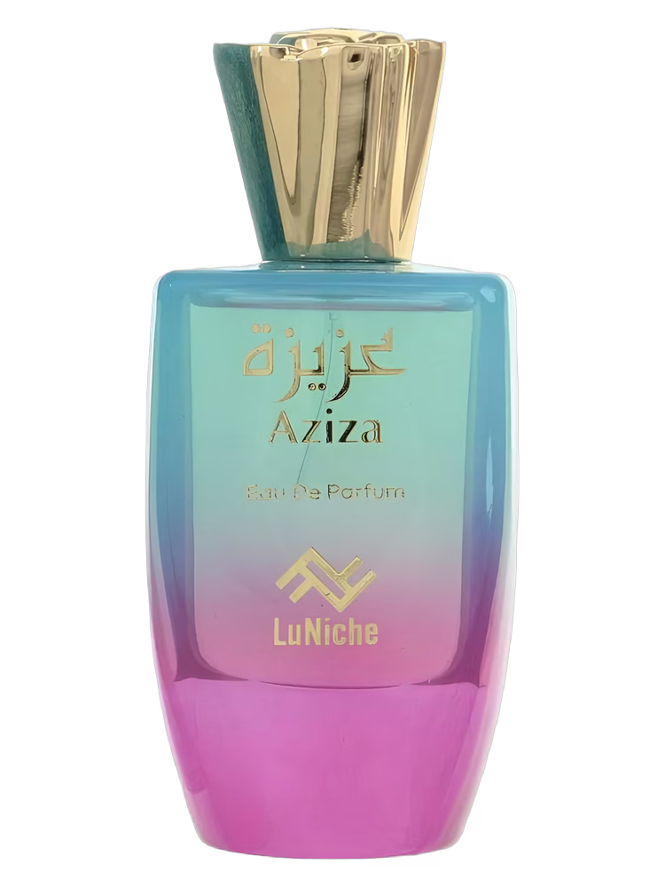 LuNiche Aziza