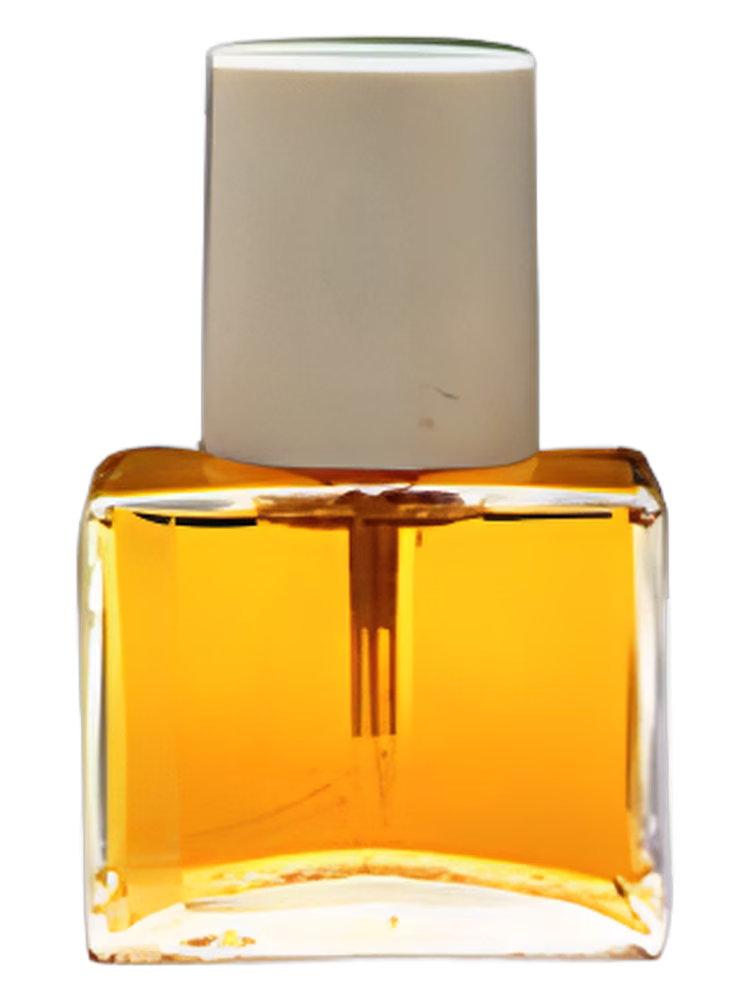 Jil Sander Jil Sander Woman II