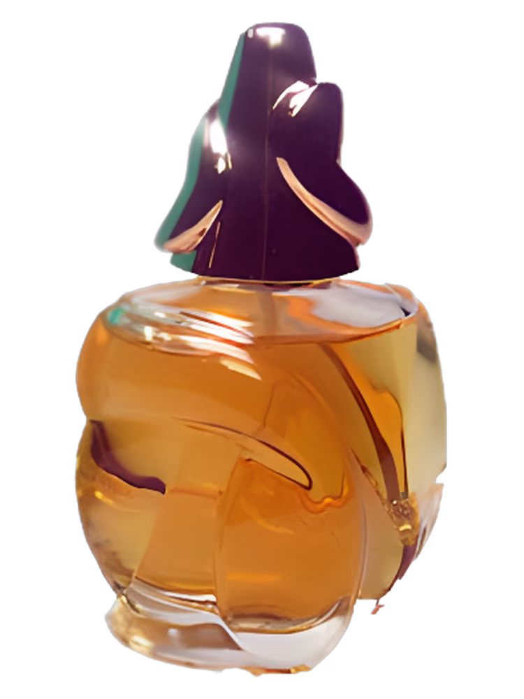Bogner Sonia Bogner Now