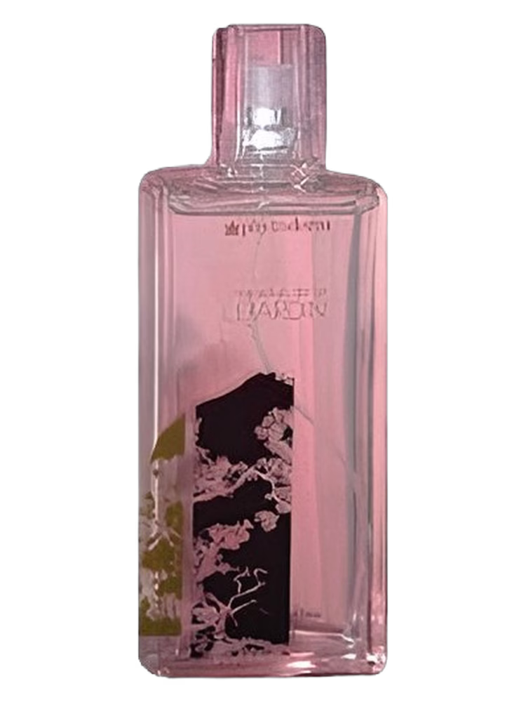 Phytoderm Le Jardin Madeiras de Lei