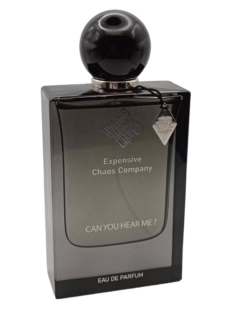 Expensive Chaos Company Can You Hear Me?