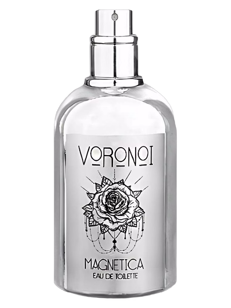Voronoi Magnetica