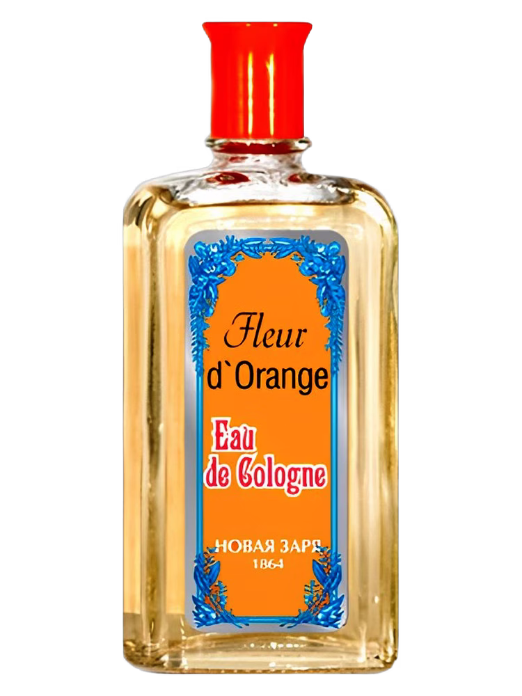 Новая Заря (The New Dawn) Fleur d’Orange (Цветок апельсина)