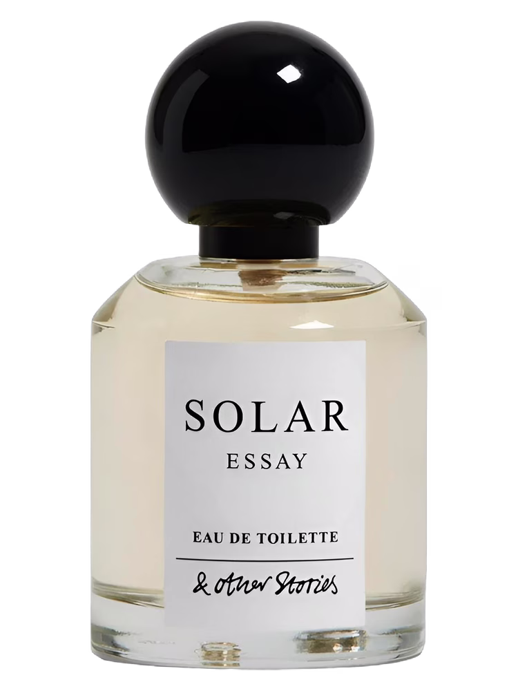 And Other Stories Solar Essay