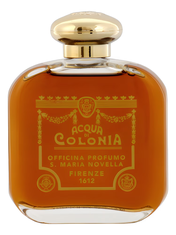 Santa Maria Novella Frangipane