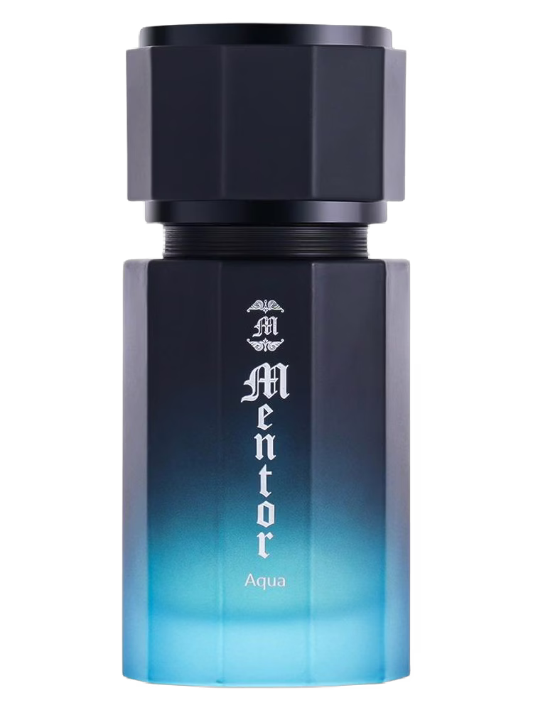 VS Mentor Aqua