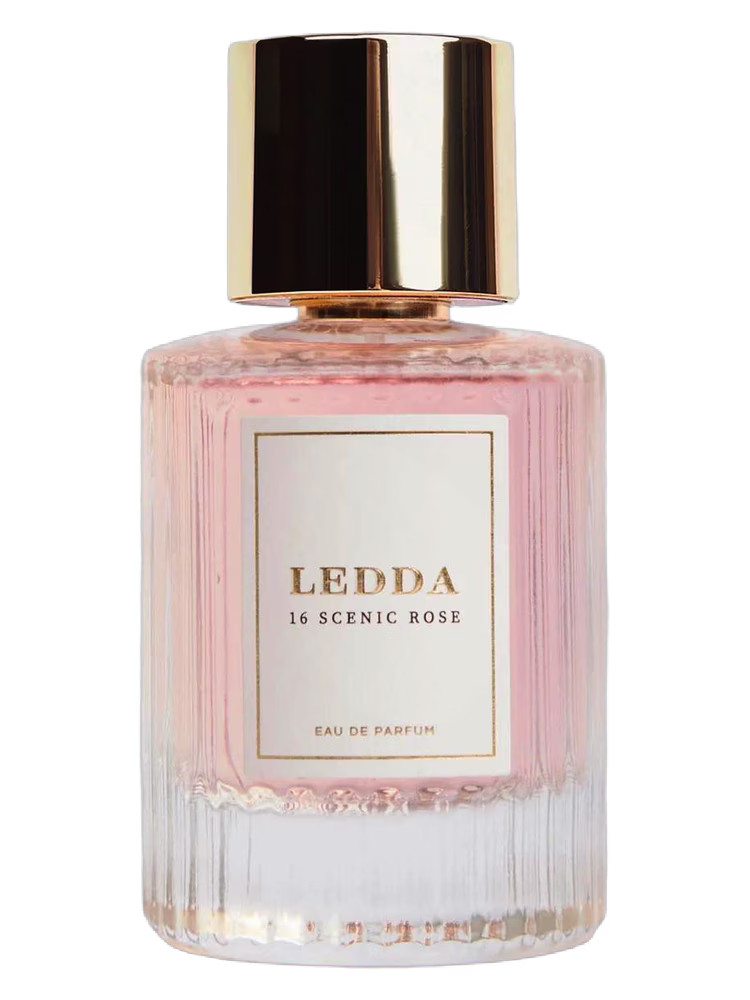 Ledda 16 Scenic Rose