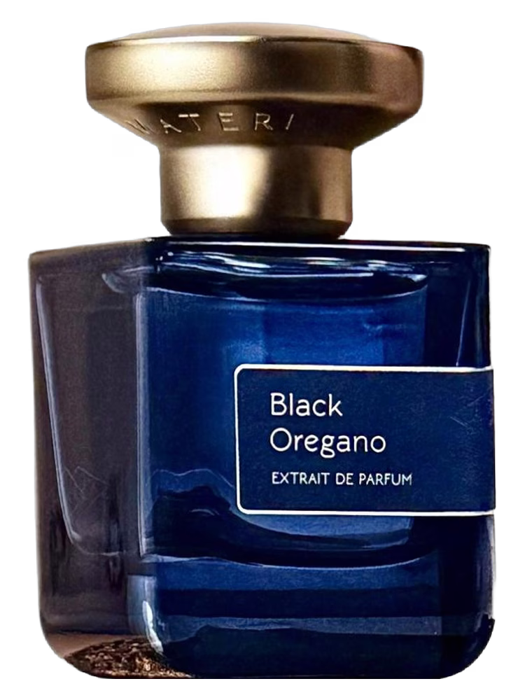 Atelier Materi Black Oregano