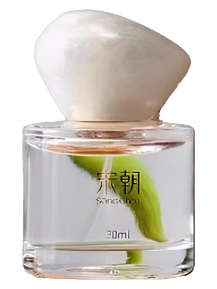 Song Chao 宋朝香氛 越界