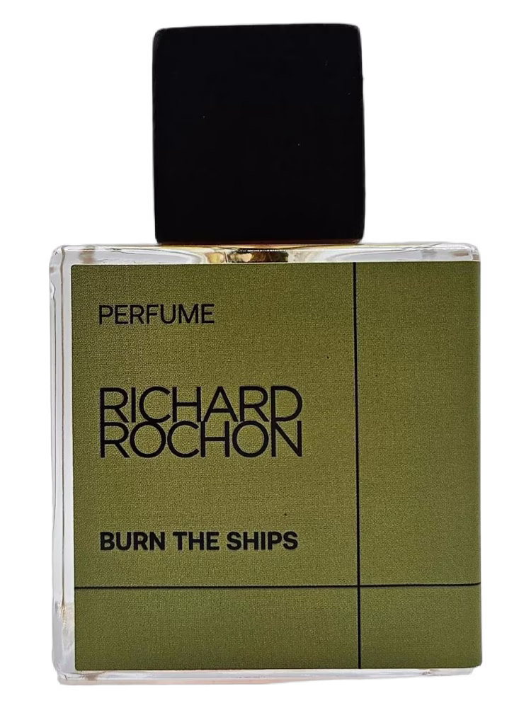 Richard Rochon Burn the Ships