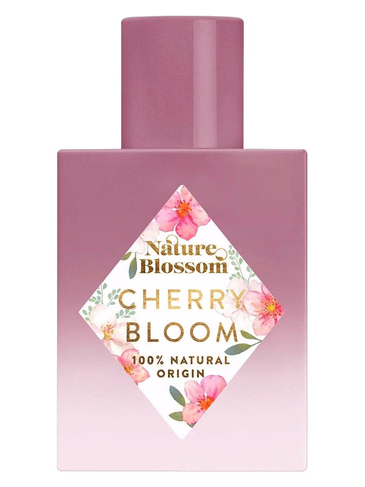 Nature Blossom Cherry Bloom