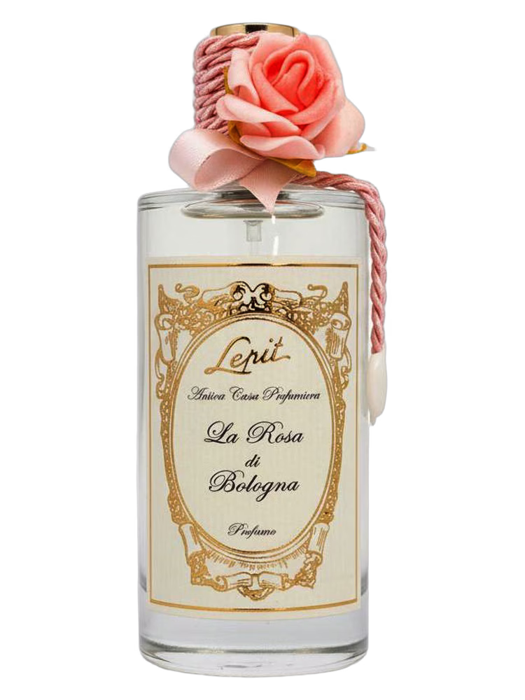 Azar Lepit La Rosa di Bologna