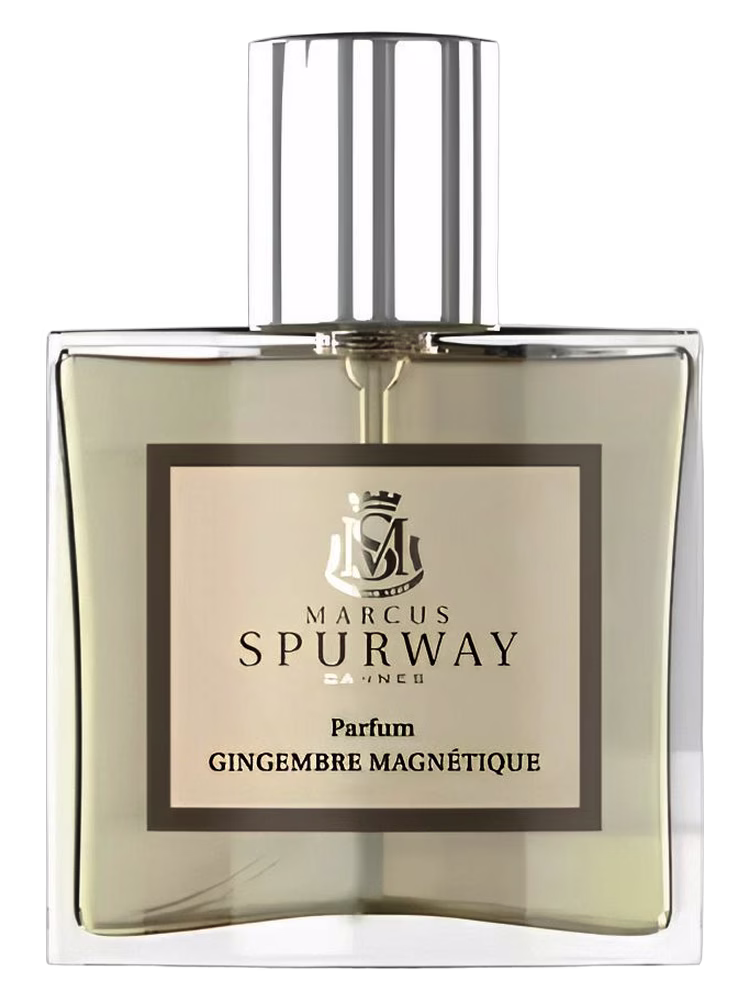 Marcus Spurway Gingembre Magnétique