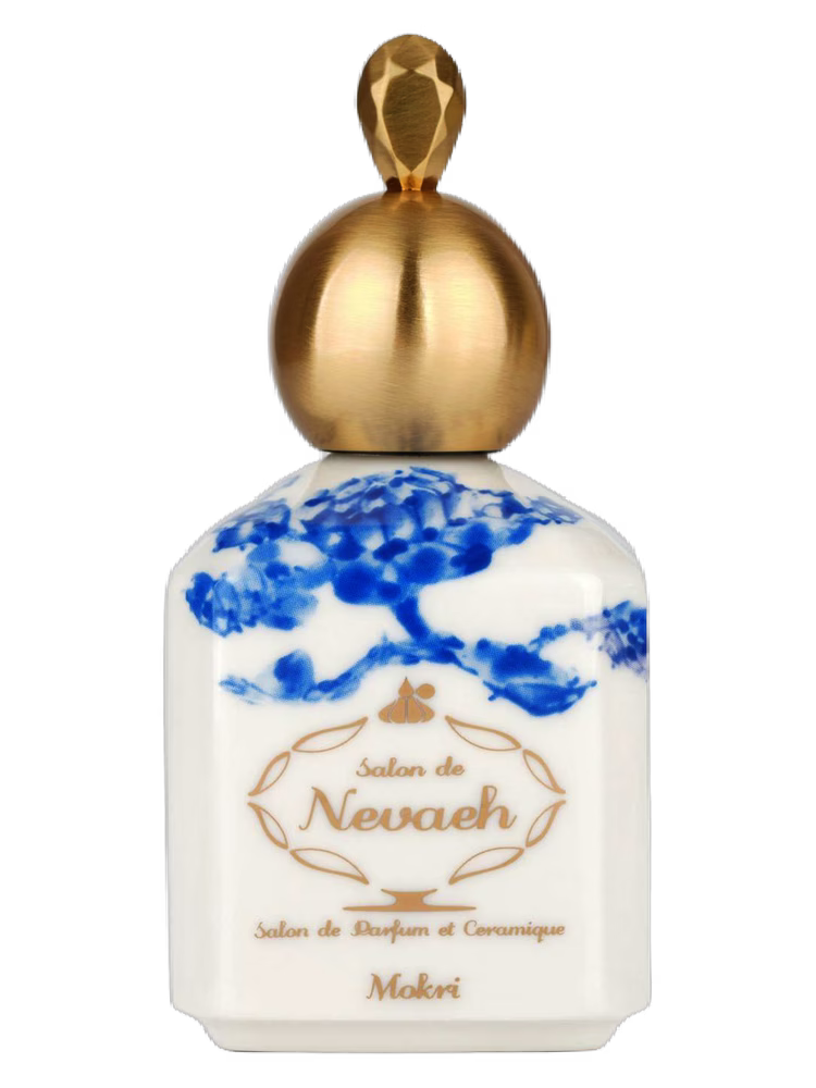 Salon de Nevaeh Mokri