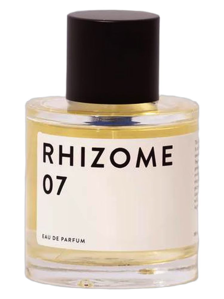 Rhizome Rhizome 07