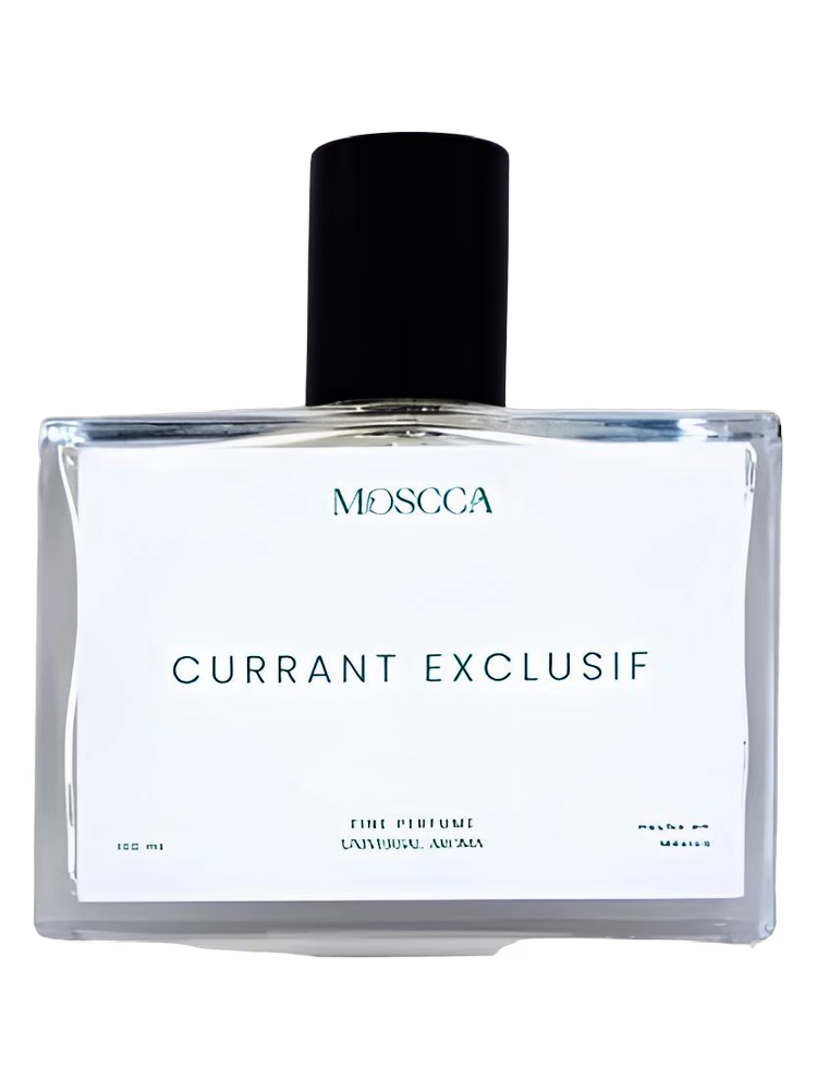 Moscca Currant Exclusif