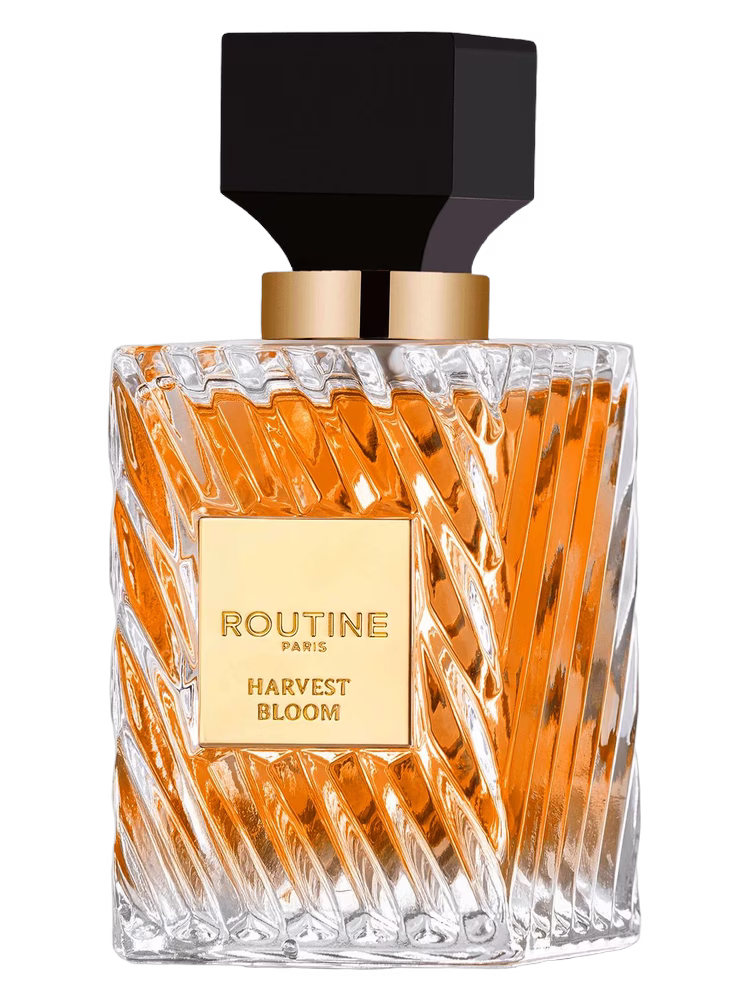 Routine Paris Harvest Bloom