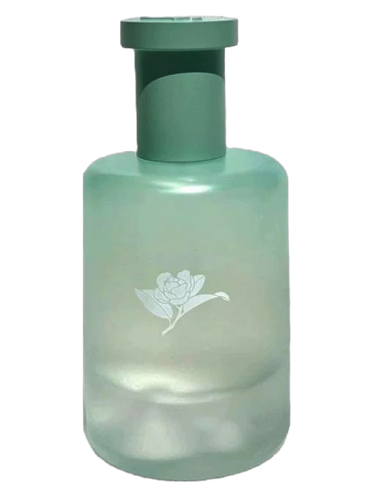 Man Song 慢宋 Camellia in the Mountain 清野山茶