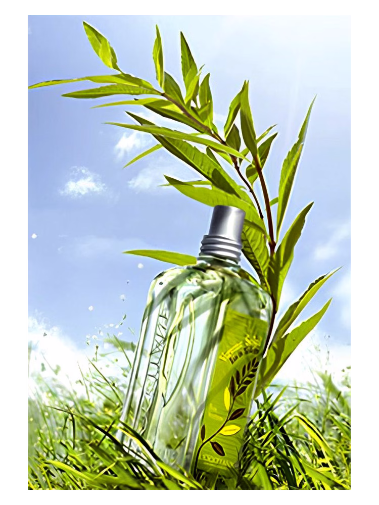 L'Occitane en Provence Verbena Sun