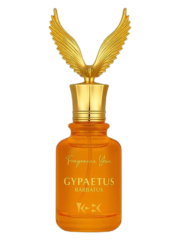 YANI Gypaetus