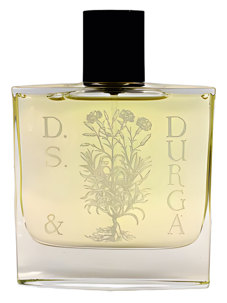 DS&Durga Osmanthus