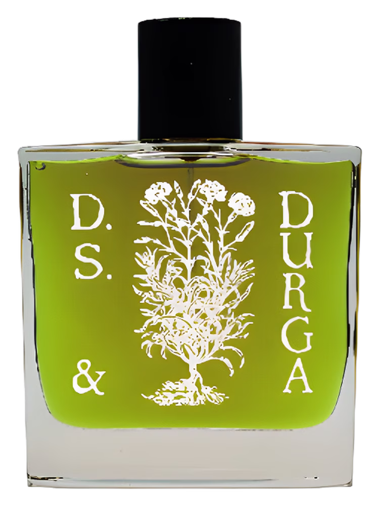 DS&Durga Boston Ivy