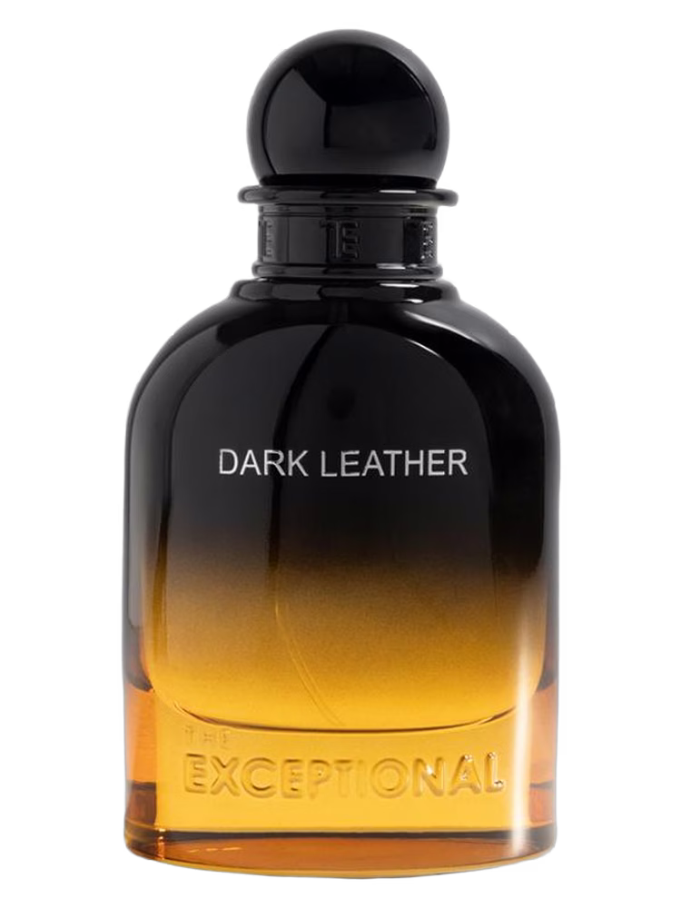 The Exceptional Dark Leather