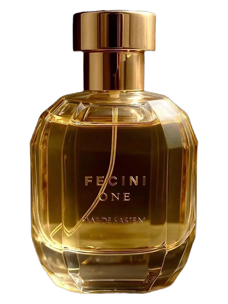 Fecini Fecini One