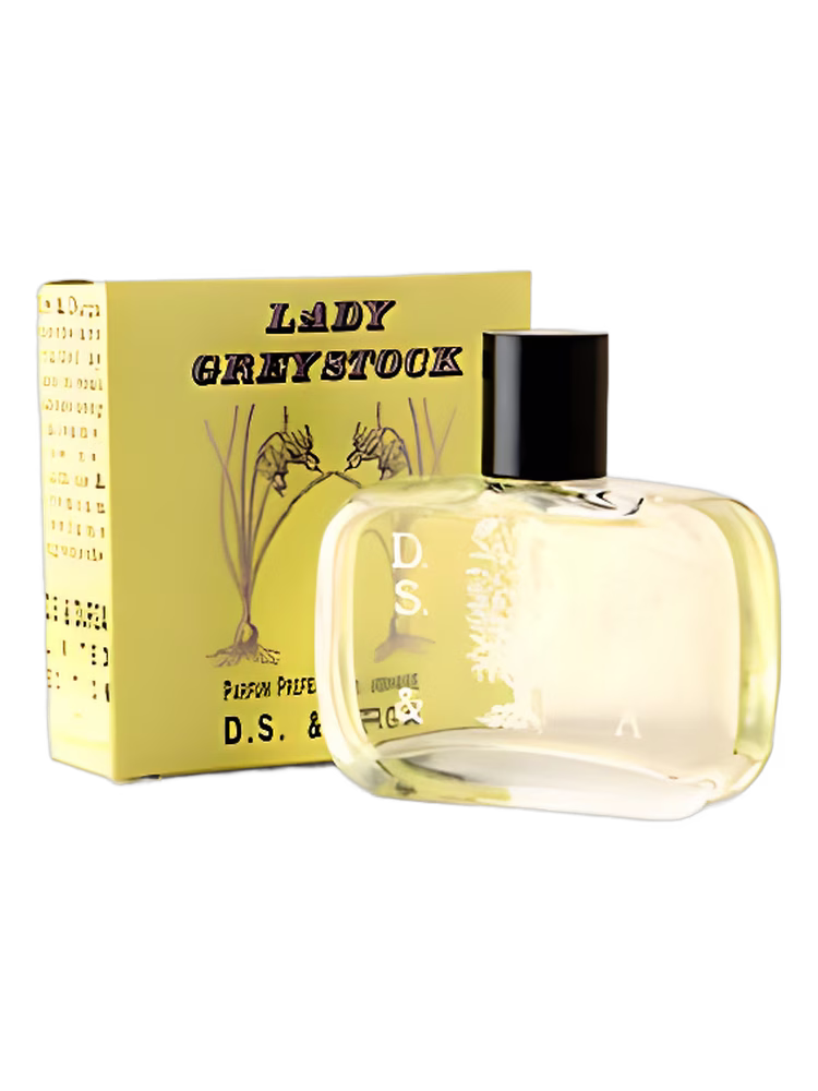 DS&Durga Lady Greystock