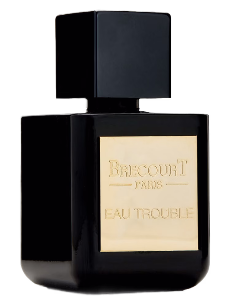 Brecourt Eau Trouble