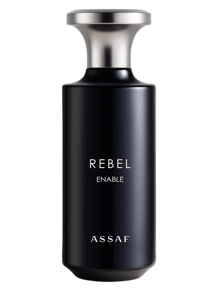 Assaf Rebel