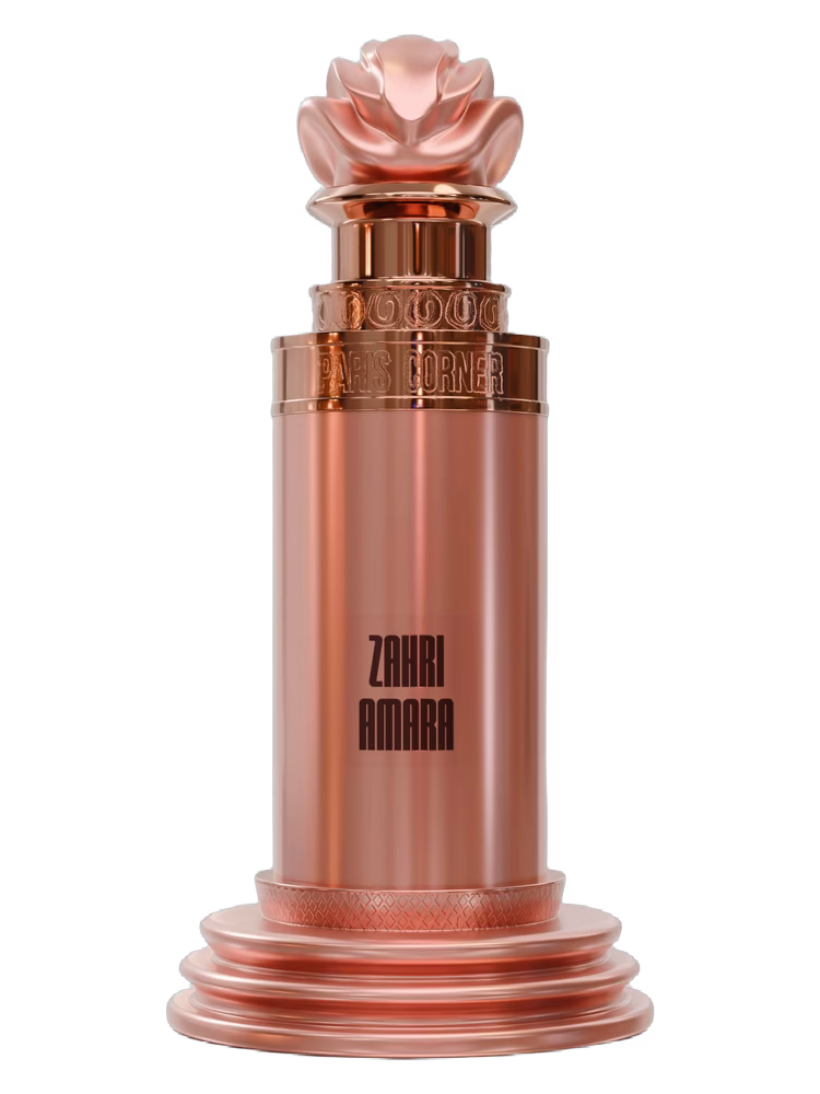 PARIS CORNER Zahri Amara