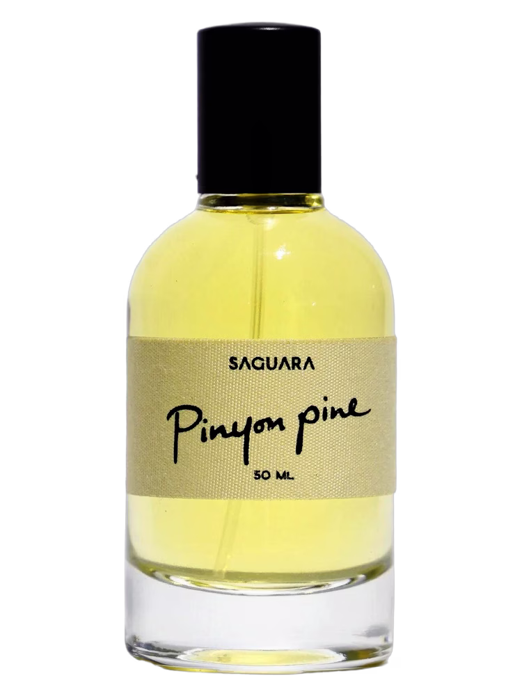 Saguara Pinyon Pine