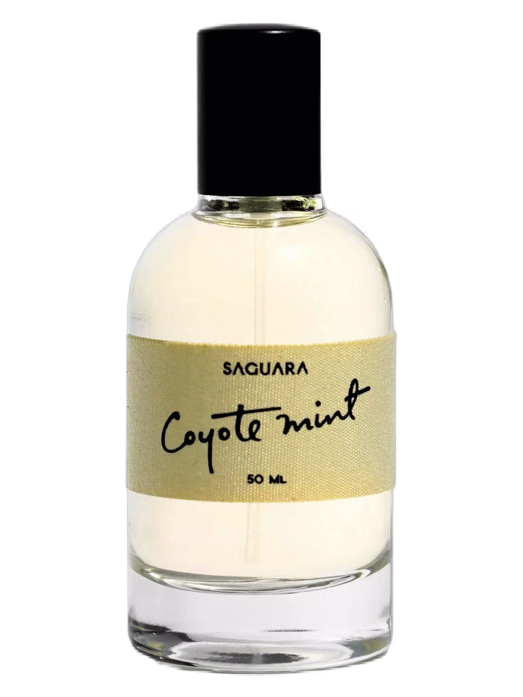 Saguara Coyote Mint