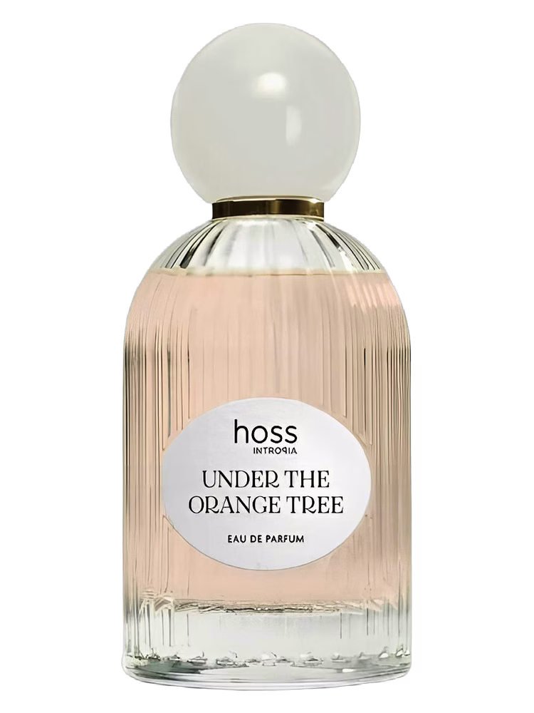 Hoss Intropia Under The Orange Tree