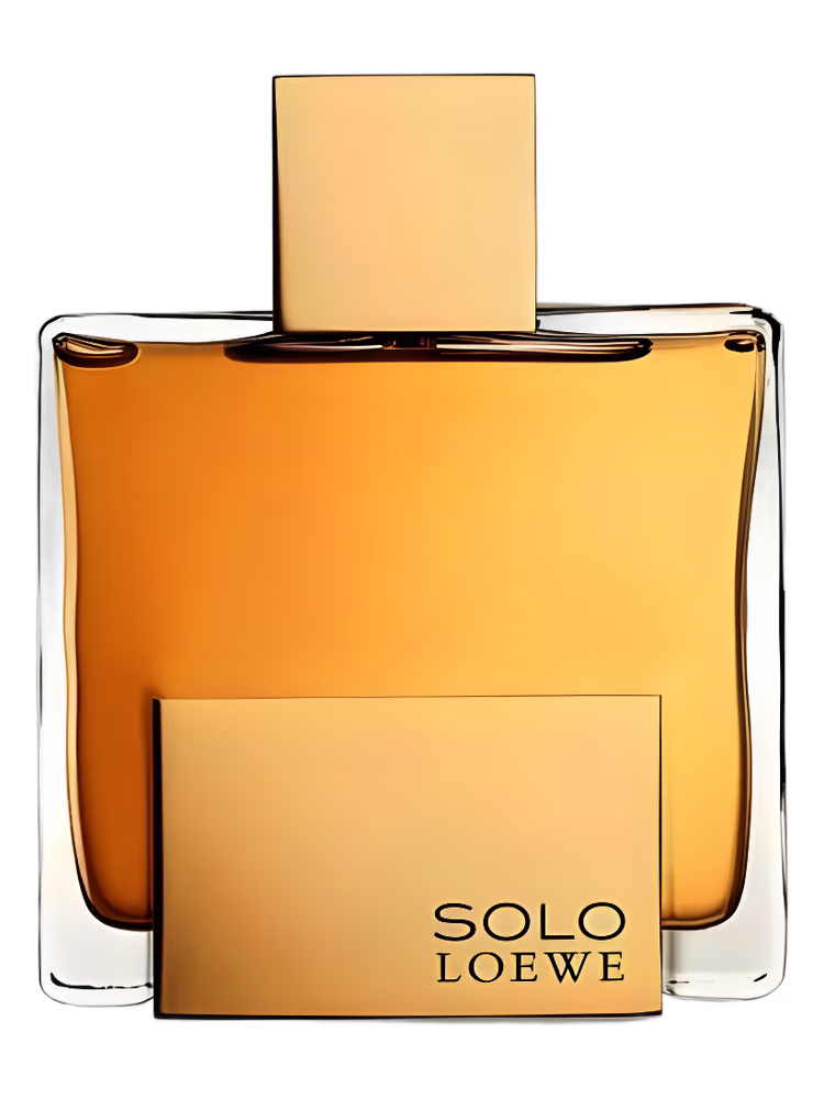 Loewe Solo Loewe Absoluto